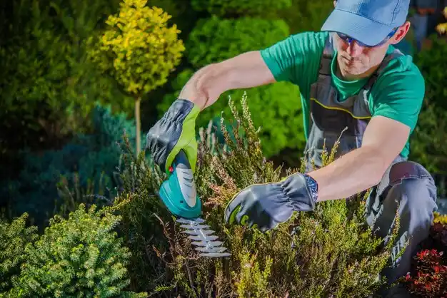 landscaping services Mount Ivy